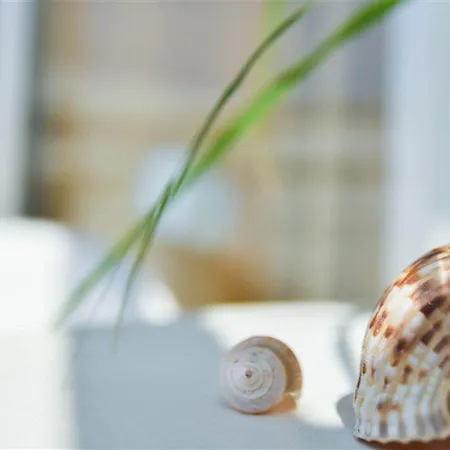 Vassilia 2* עיר רודוס